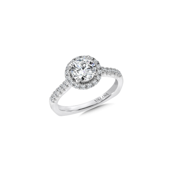 14KW 0.35CTW Diamond Halo Semi-Mounting Engagement Ring Kiefer Jewelers Lutz, FL