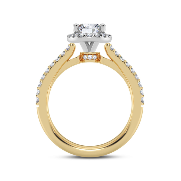 14KYW Split Band Halo Engagement Ring Setting Image 3 Kiefer Jewelers Lutz, FL