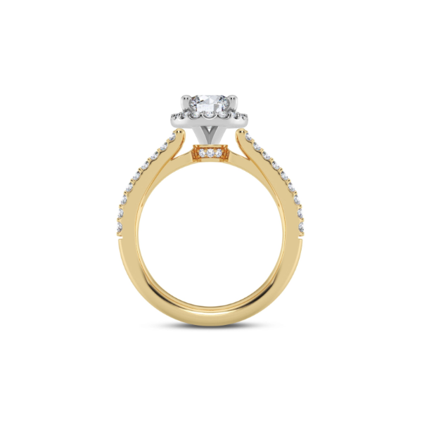 14KYW Split Band Halo Engagement Ring Setting Image 3 Kiefer Jewelers Lutz, FL
