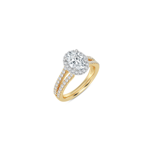 14KYW Split Band Halo Engagement Ring Setting Kiefer Jewelers Lutz, FL