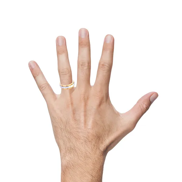 10KYW Mfit Wedding Ring Image 2 Kiefer Jewelers Lutz, FL
