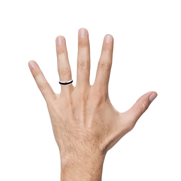 10K Black Ceramic Wedding Ring Image 2 Kiefer Jewelers Lutz, FL