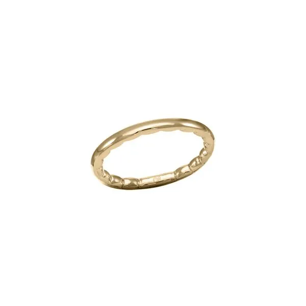 14K MFIT Ring Kiefer Jewelers Lutz, FL