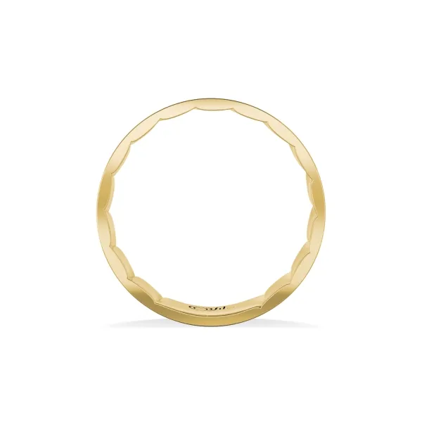 Men's Wedding Band Image 2 Kiefer Jewelers Lutz, FL