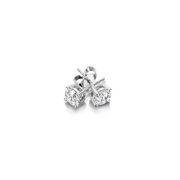 14K 1/2 CTW Diamond Stud Earrings Kiefer Jewelers Lutz, FL