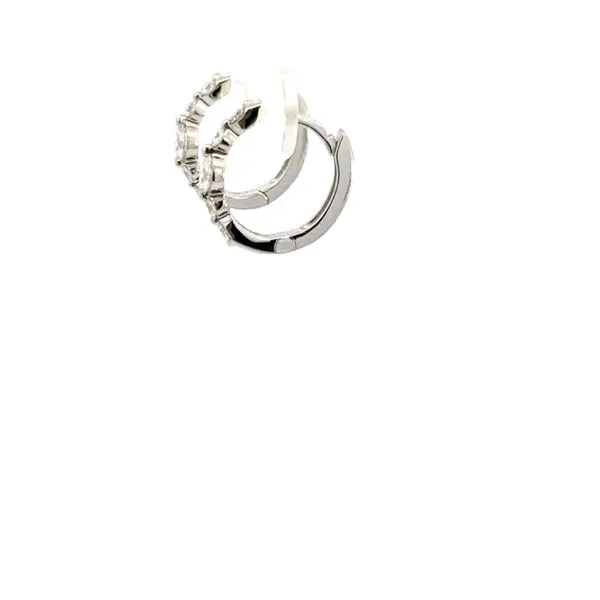 14K Diamond Huggie Earring by Shy Creation Image 5 Kiefer Jewelers Lutz, FL