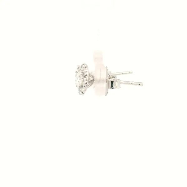 14KW Diamond Halo Stud Style Earrings Image 4 Kiefer Jewelers Lutz, FL