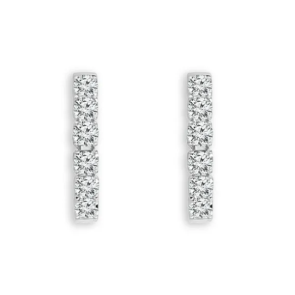 14KW 3CTW Diamond Oval Inside Out Hoop Earrings Image 2 Kiefer Jewelers Lutz, FL