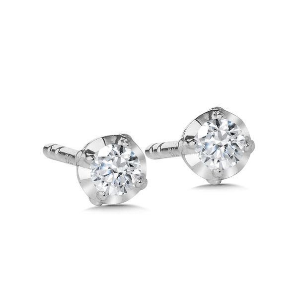 14KW .10CTW Diamond Stud Earrings Kiefer Jewelers Lutz, FL