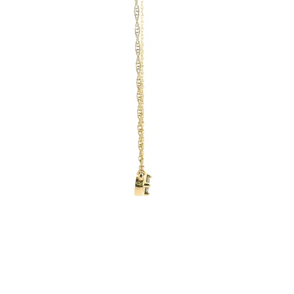 14KY 0.20CT Round Diamond Solitaire Pendant on Rope Chain Image 3 Kiefer Jewelers Lutz, FL