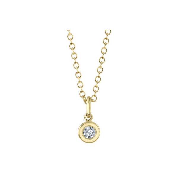 14KY 0.05CTW Bezel Set Diamond Necklace by Shy Creation Kiefer Jewelers Lutz, FL
