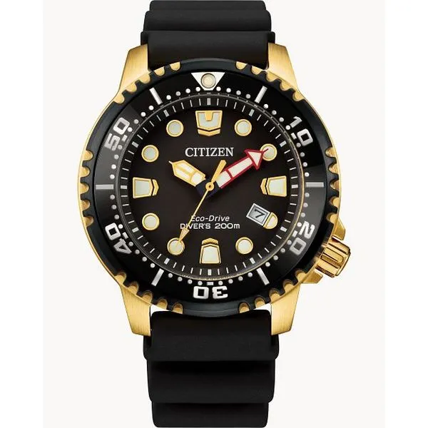 Citizen Promaster Diver Kiefer Jewelers Lutz, FL