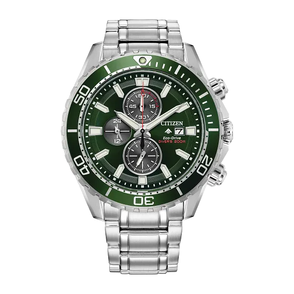 Citizen Promaster Dive Sterling Silver Bracelet Watch Kiefer Jewelers Lutz, FL