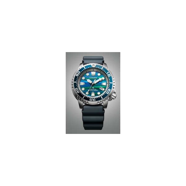 Citizen Eco-Drive Promaster Dive Structural Ink Dial Kiefer Jewelers Lutz, FL
