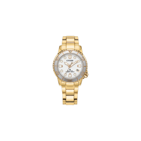 Citizen Eco-Drive Promaster Dive Kiefer Jewelers Lutz, FL
