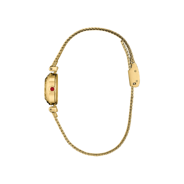 Gold Tone 
