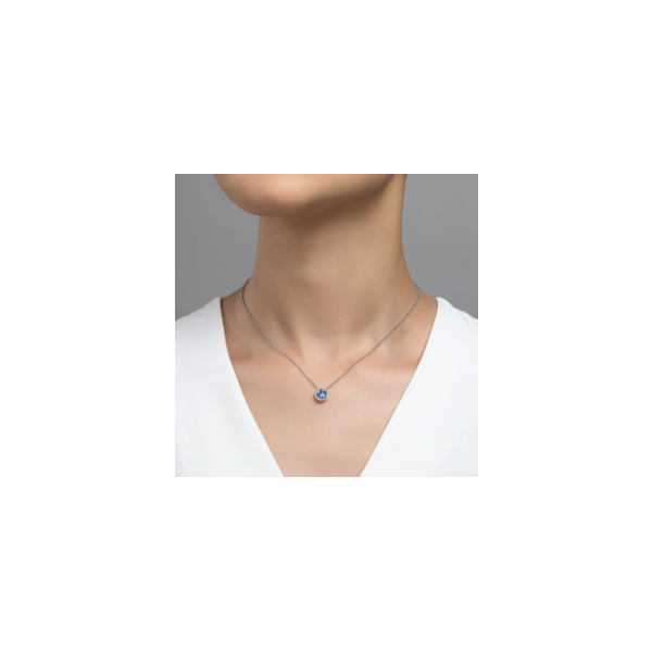 SS Simulated Aquamarine and Simulated Diamond Halo Birthstone Necklace by Lafonn Image 2 Kiefer Jewelers Lutz, FL
