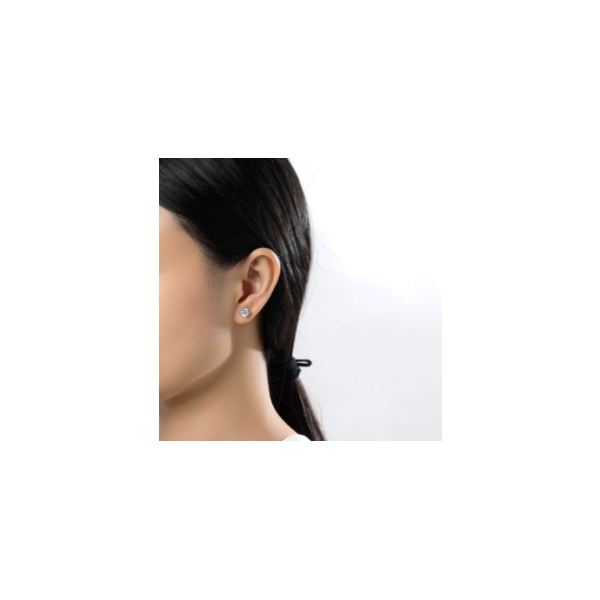 SS 2ctw Simulated Diamond Studs Image 2 Kiefer Jewelers Lutz, FL