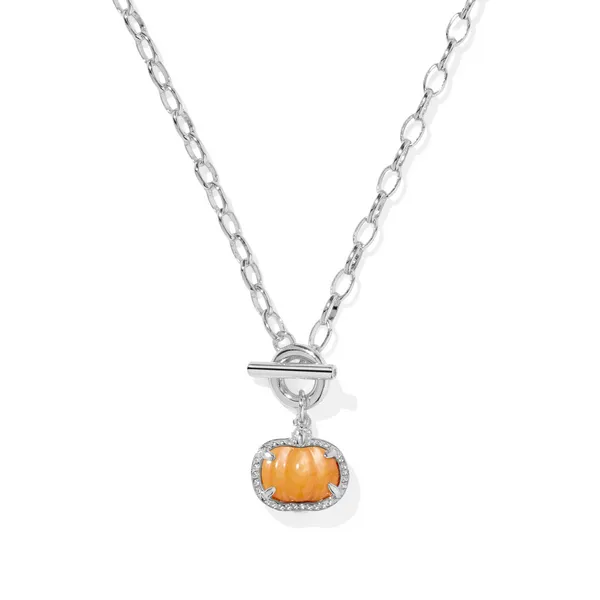 Pumpkin with Orange Mother-of-Pearl Link Chain Necklace by Kendra Scott Kiefer Jewelers Lutz, FL