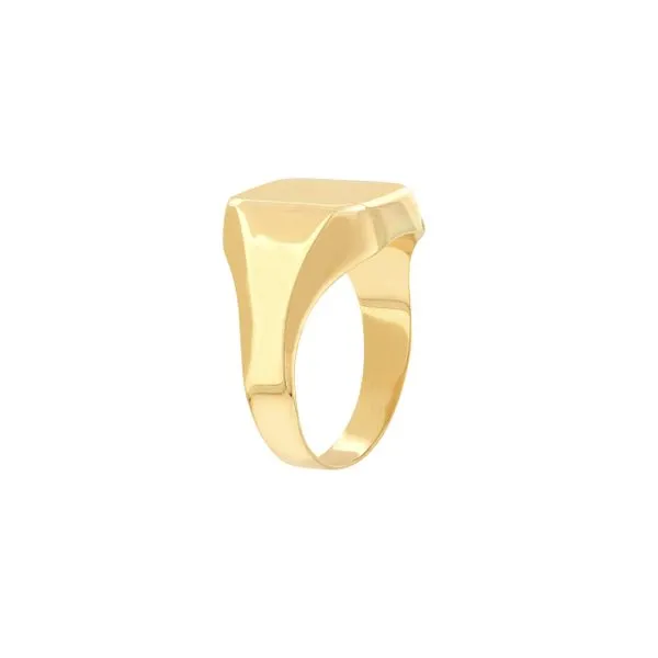 Gold Signet Ring Image 2 Kiefer Jewelers Lutz, FL