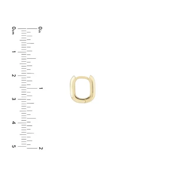 14K Oblong Hoop Earrings Image 4 Kiefer Jewelers Lutz, FL