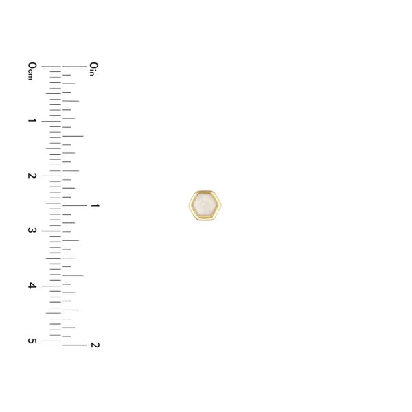14K Gold Hexagon Earrings Image 3 Kiefer Jewelers Lutz, FL