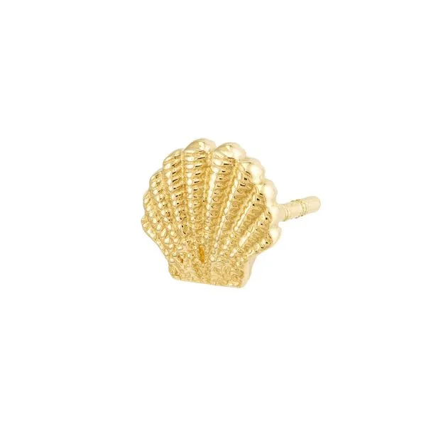 14K Seashell Earrings Image 3 Kiefer Jewelers Lutz, FL
