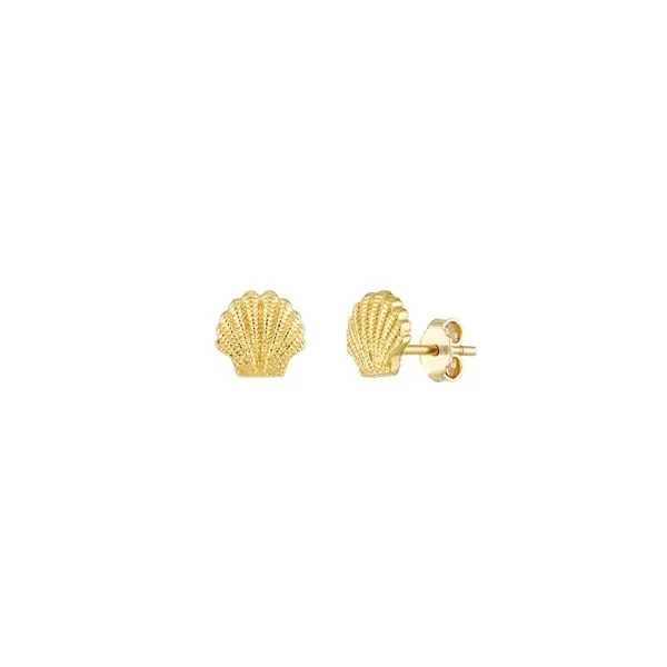 14K Seashell Earrings Kiefer Jewelers Lutz, FL