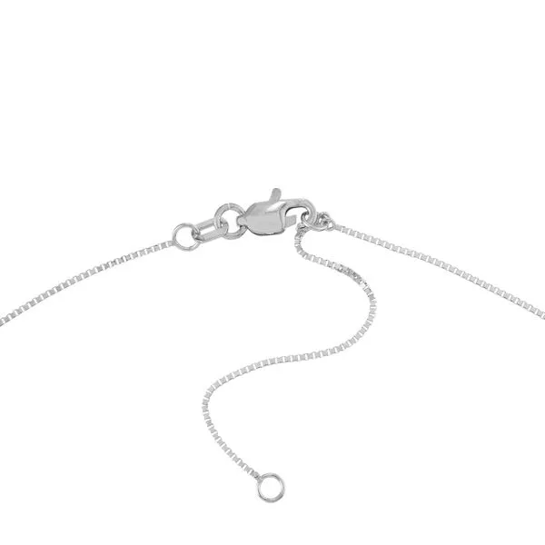 14K BOX CHAIN 050 ADJUSTABLE / LOBSTER (1.8g) Image 4 Kiefer Jewelers Lutz, FL