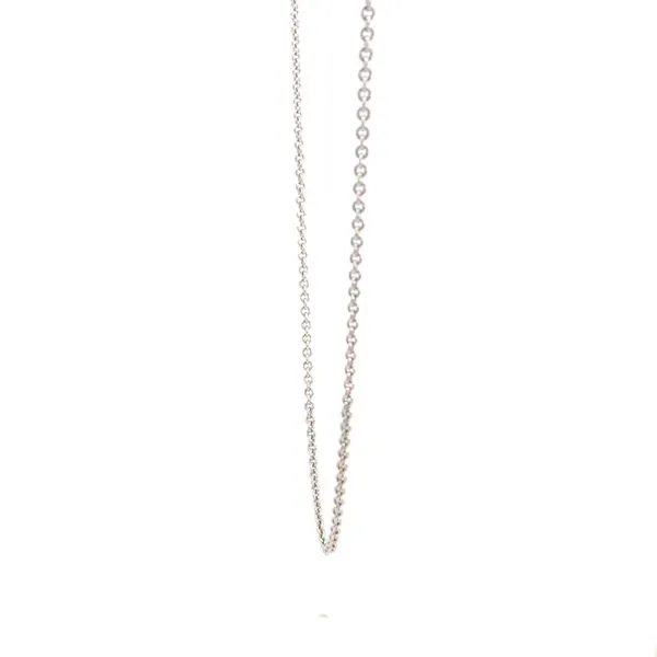 18K BEL CHAIN Image 4 Kiefer Jewelers Lutz, FL