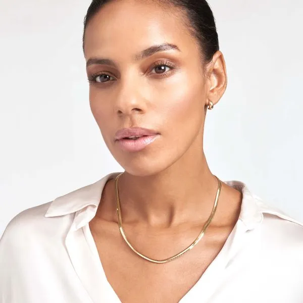 14K Hollow Snake Chain Image 3 Kiefer Jewelers Lutz, FL