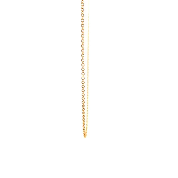 18KY Rolo Chain Image 3 Kiefer Jewelers Lutz, FL