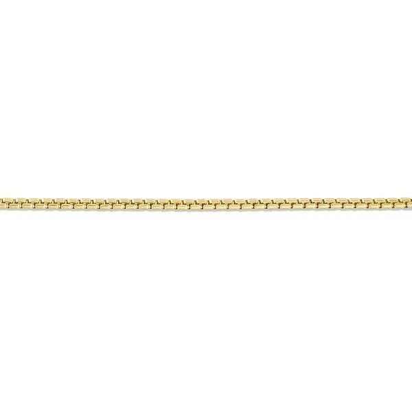14K Solid Round Box Chain Kiefer Jewelers Lutz, FL