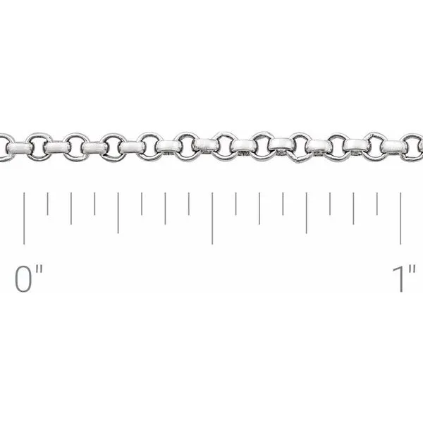14K 1.5mm Rolo Anklet Image 2 Kiefer Jewelers Lutz, FL