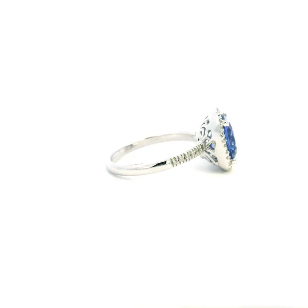 14KW Tanzanite and Diamond Halo Ring Image 3 Kiefer Jewelers Lutz, FL