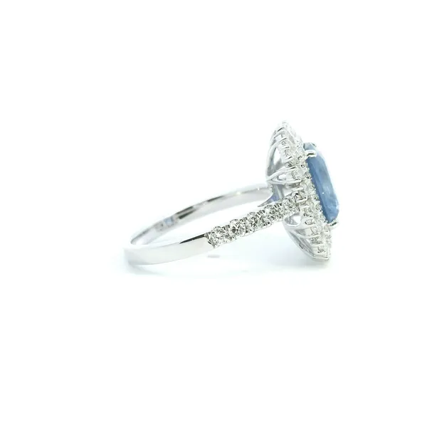 18KW Ceylon Sapphire and Diamond Double Halo Ring Image 3 Kiefer Jewelers Lutz, FL