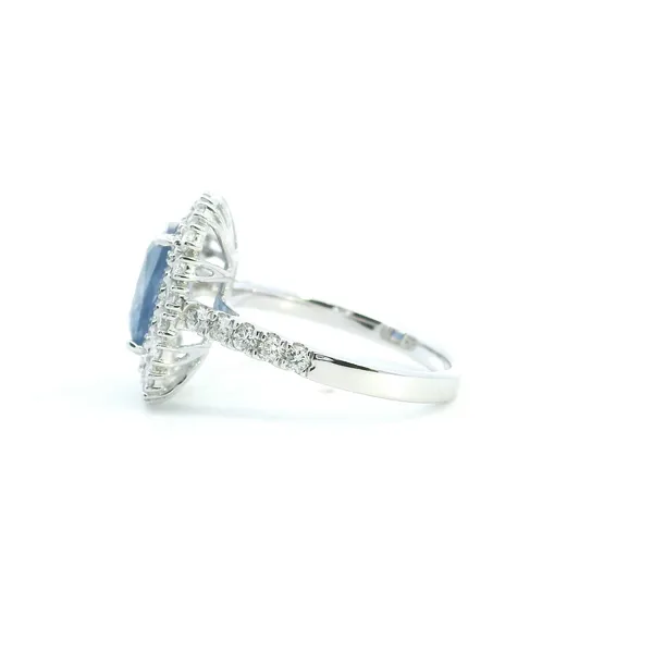 18KW Ceylon Sapphire and Diamond Double Halo Ring Image 4 Kiefer Jewelers Lutz, FL