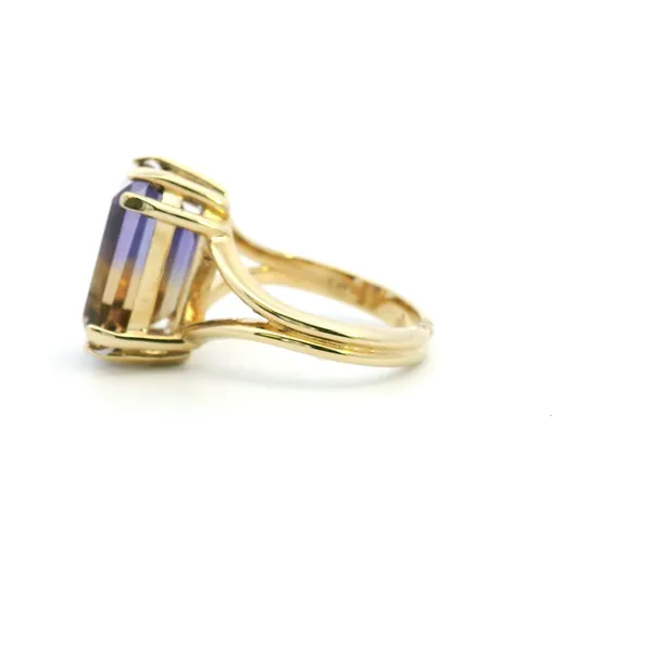 14KY Ametrine Ring Image 4 Kiefer Jewelers Lutz, FL
