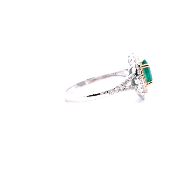14KWY Oval Emerald and Diamond Double Halo Ring Image 4 Kiefer Jewelers Lutz, FL