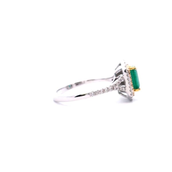 14KWY Emerald Cut Emerald and Diamond Double Halo Ring Image 4 Kiefer Jewelers Lutz, FL