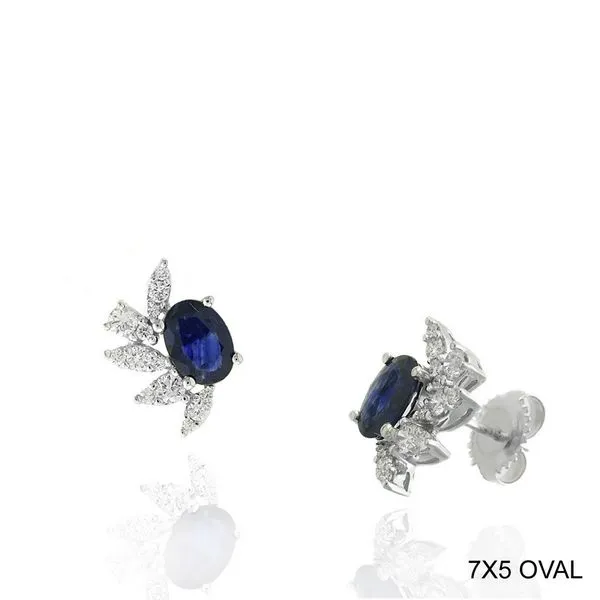 Sapphire & Diamond Earrings Kiefer Jewelers Lutz, FL