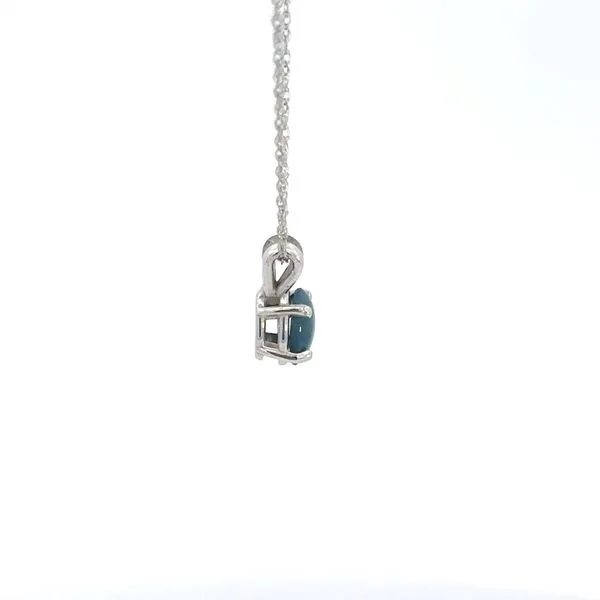 14K Blue Star Sapphire Necklace Image 2 Kiefer Jewelers Lutz, FL