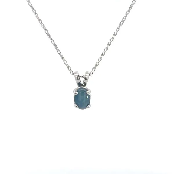 14K Blue Star Sapphire Necklace Kiefer Jewelers Lutz, FL