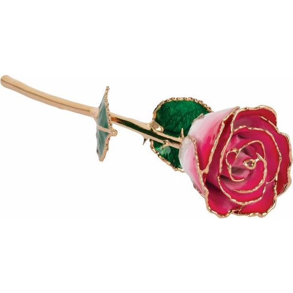 Lacquered Cream & Red Rose with Gold Trim Kiefer Jewelers Lutz, FL