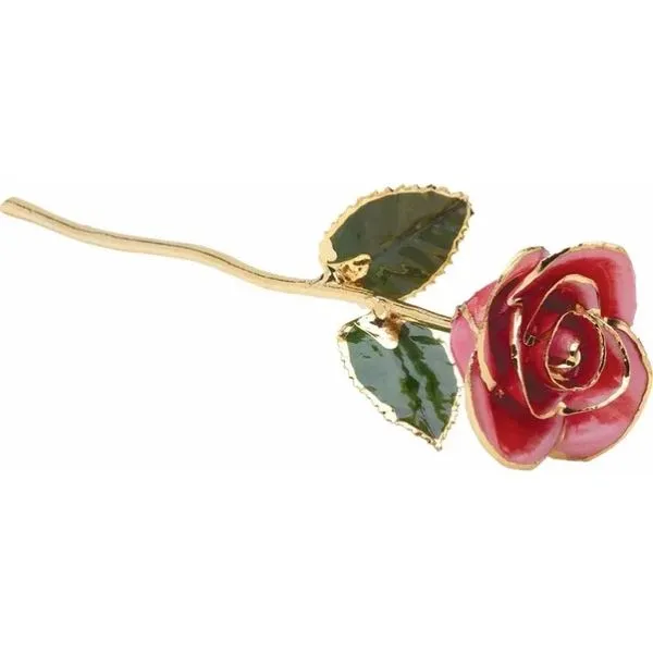 Lacquered Pink 24K Gold Trim Rose Kiefer Jewelers Lutz, FL