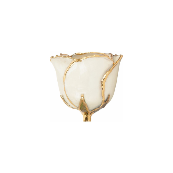 Lacquered Pearl/Gold Rose 24K Gold Trim Image 2 Kiefer Jewelers Lutz, FL
