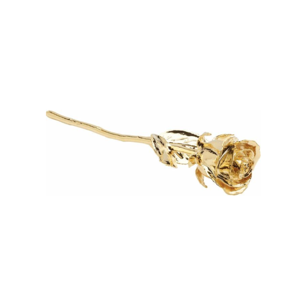 Lacquered Gold 24K Gold Trim Rose Kiefer Jewelers Lutz, FL