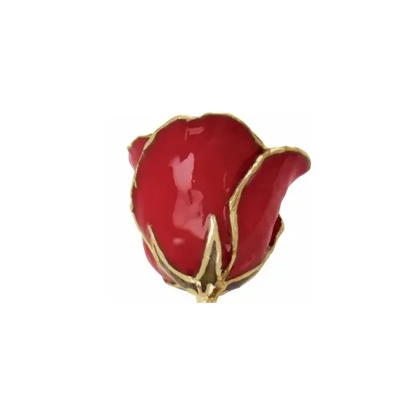 Lacquered Red 24K Gold Trim Rose Image 2 Kiefer Jewelers Lutz, FL