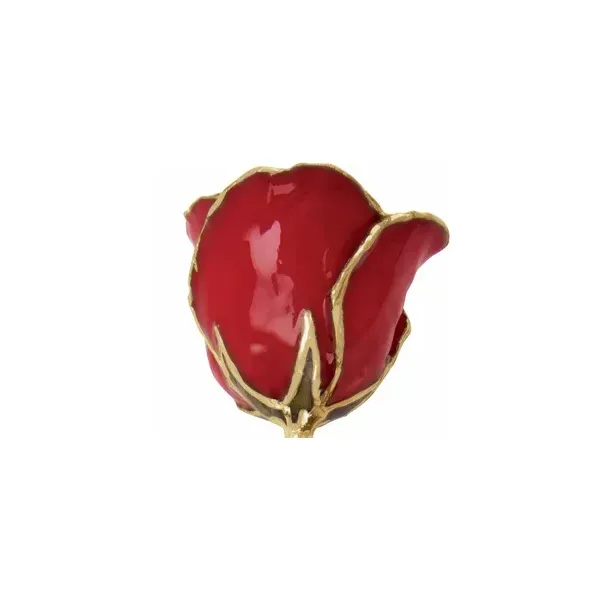 Lacquered Red 24K Gold Trim Rose Image 2 Kiefer Jewelers Lutz, FL