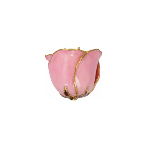 Lacquered Pink 24K Gold Trim Rose Image 3 Kiefer Jewelers Lutz, FL